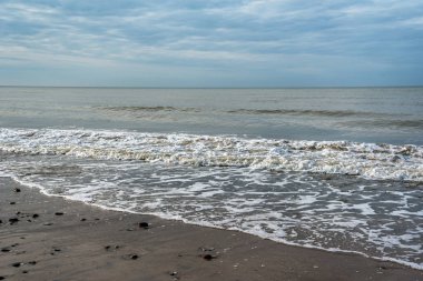 Baltık Denizi kıyı şeridi göster.