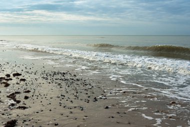 Baltık Denizi kıyı şeridi göster.