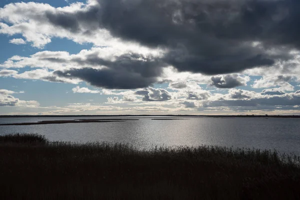 Sonbaharda Reed Ile Göl — Stok fotoğraf