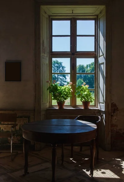 Fenêtre Avec Pots Fleurs Dans Vieux Manoir — Photo