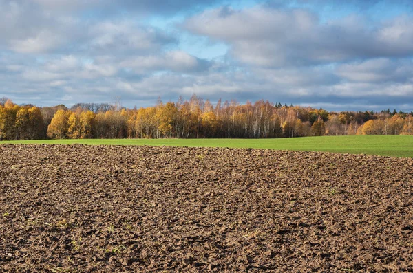 Upplöjd Fältet Med Höstliga Träd Bakgrunden — Stockfoto