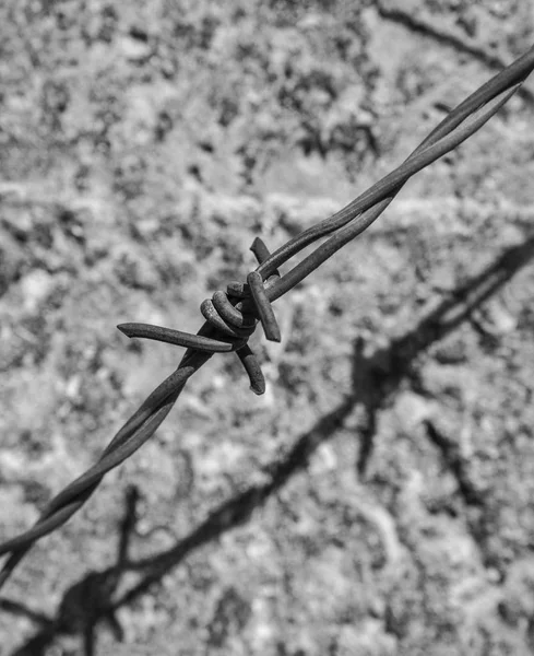 Old Ancient Rusty Metallic Fence Barrier — Stock Photo, Image