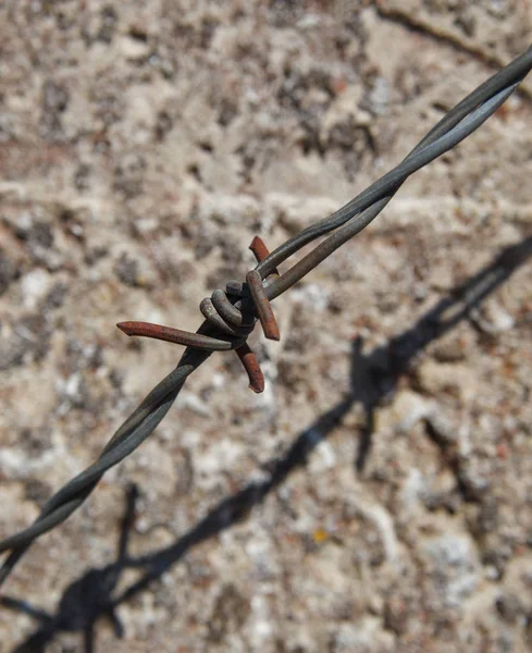 Eski Antik Paslı Metal Çit Için Bariyer — Stok fotoğraf