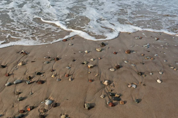 Blick Auf Die Ostseeküste — Stockfoto