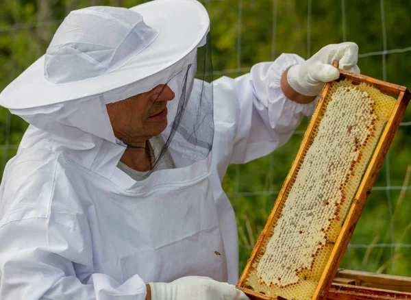 Imker in seinem Bienenhaus. — Stockfoto