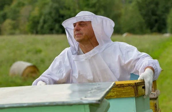 Apiarist in his apiary. — Stock Photo, Image