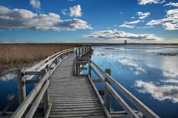 Camino de madera al lago . —  Fotos de Stock