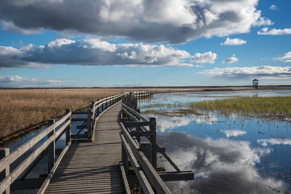 Sentiero in legno per il lago . — Foto Stock