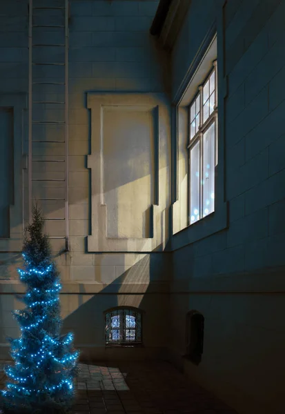 Zwei Fenster und Weihnachtsbaum. — Stockfoto