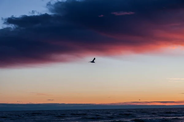 Sonnenuntergang über dem Meer. — Stockfoto