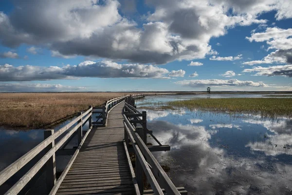 Wooden path to the lake. — Stock Photo, Image