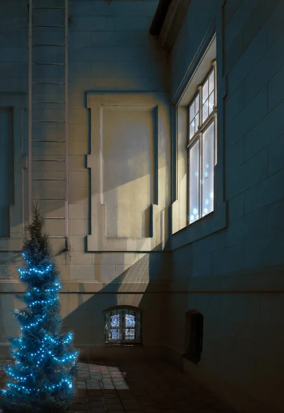 Dos ventanas y árbol de Navidad . —  Fotos de Stock