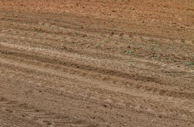 Sürülmüş kahverengi alan.