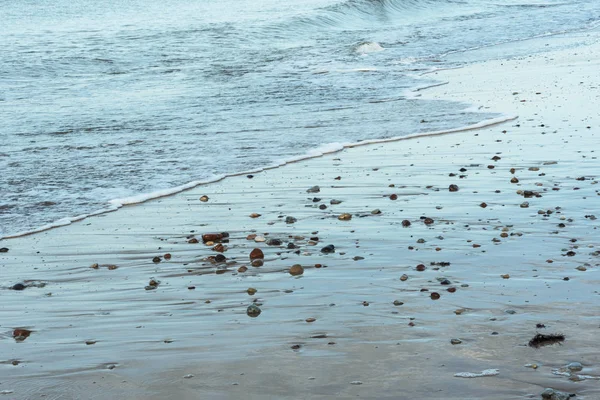 Baltic sea coastline. — Stock Photo, Image