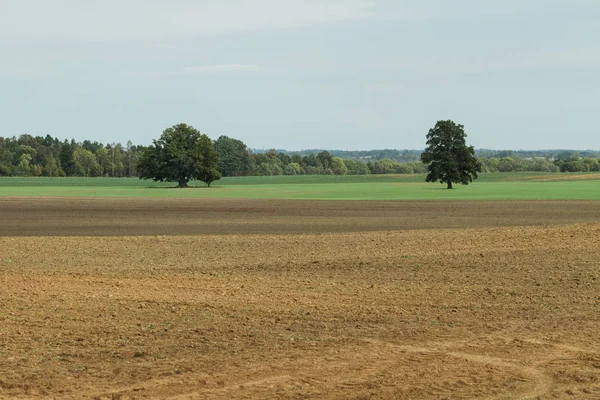 Plowed brunt fält. — Stockfoto