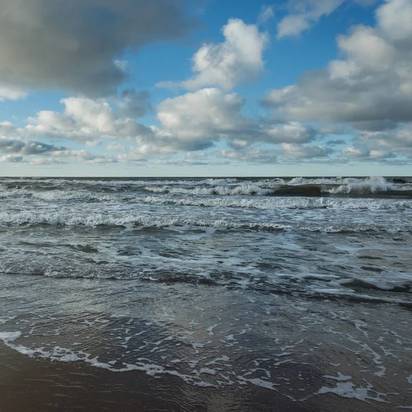 Baltské moře pobřeží. — Stock fotografie
