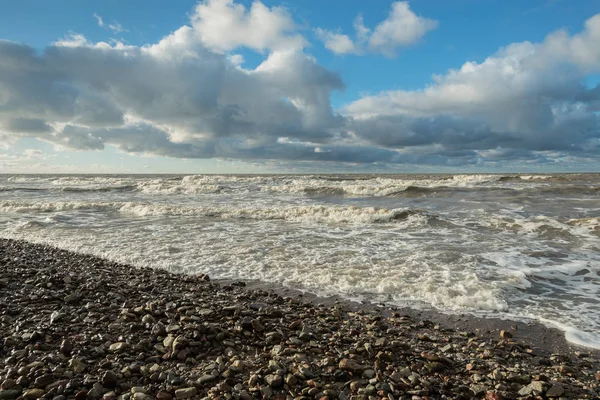 Baltık Denizi beach. — Stok fotoğraf