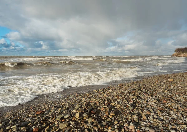 Östersjöns strand. — Stockfoto