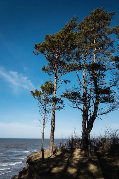 Veduta della spiaggia sul mare di Jurkalne . — Foto Stock
