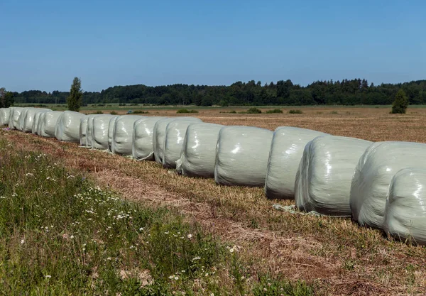 Pile da fieno in imballaggi di film . — Foto Stock