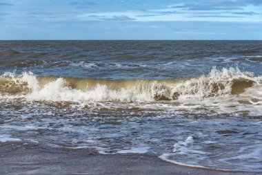 Baltık Denizi Sahili.