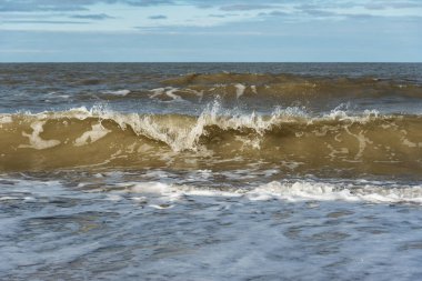 Baltık Denizi Sahili.