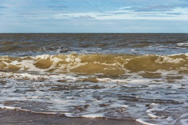 Baltık Denizi Sahili.