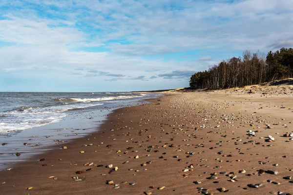 Costa del mar Báltico . —  Fotos de Stock