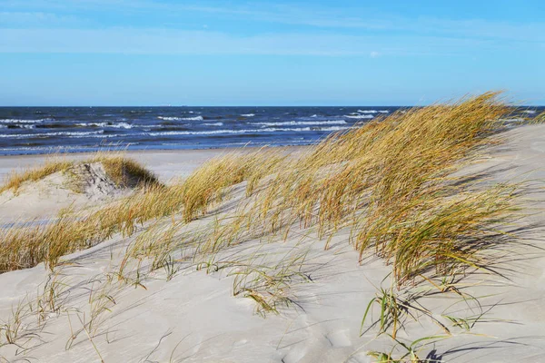 Sandstrand vid Östersjön. — Stockfoto