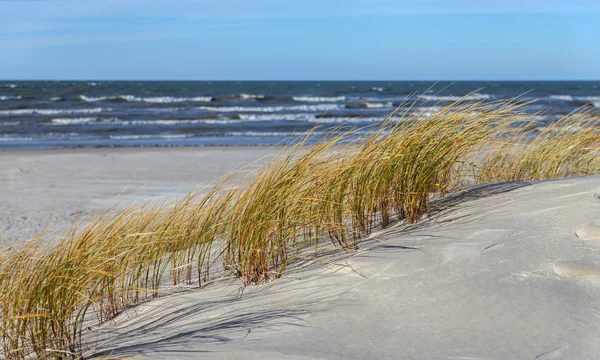 Sandstrand vid Östersjön. — Stockfoto