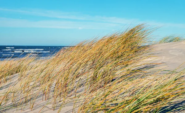 Písečná pláž Baltského moře. — Stock fotografie