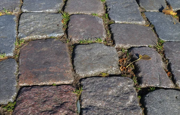 Pathway of big stones. — Stock Photo, Image