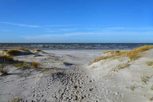 Sandstrand vid Östersjön. — Stockfoto