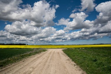Kırsal kesişen yola bak.
