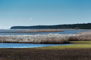 Çimenli körfez kıyısına bak.