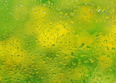 Islak pencereden çiçek açan karahindibalara bak.