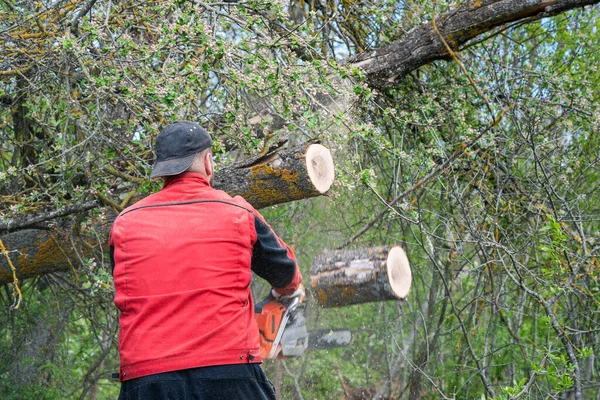 Mens Werkt Met Kettingzaag Het Bos — Stockfoto