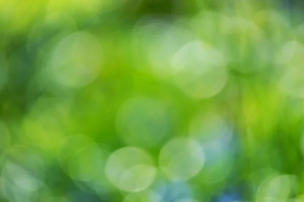 View Defocused Surface Nature — Stock Photo, Image