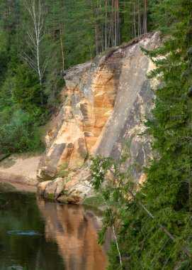 Uçurumun tepesinden Gauja nehrine bak.