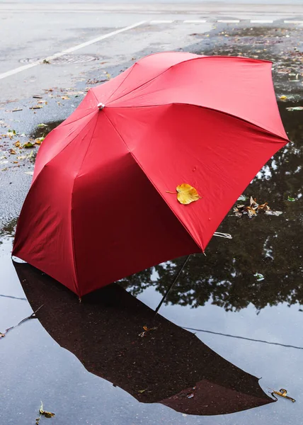 Красный Зонтик Лужа Дороге — стоковое фото