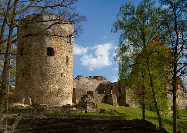 Ruin Castle Cesis Latvia — Stock Photo, Image