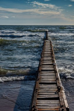 Baltık denizindeki eski ahşap köstebeğe bakın..