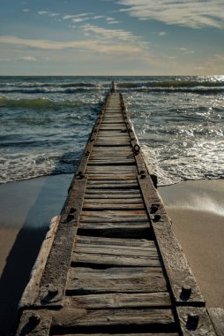 Baltık denizindeki eski ahşap köstebeğe bakın..