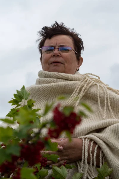 Nonna Campagna Cespuglio Ribes Rosso — Foto Stock