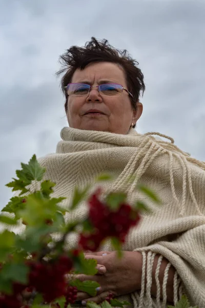 Бабушка Сельской Местности Куста Красной Смородины — стоковое фото