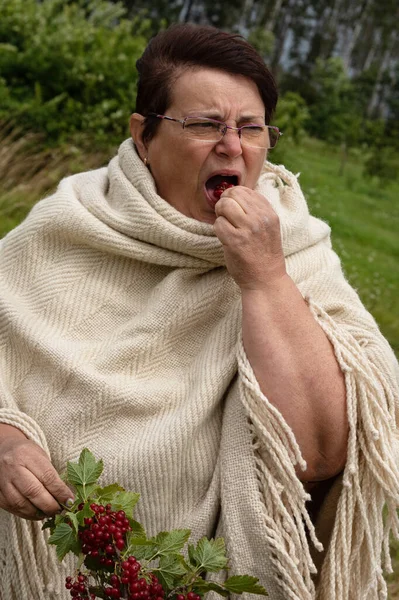 Großmutter Auf Dem Land Strauch Der Roten Johannisbeere — Stockfoto