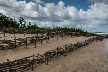 Baltık Denizi kıyısındaki doğal bariyer kumulları.
