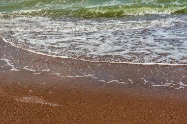 Baltık Denizi kıyısına bak.