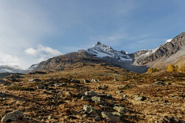 Podróż Szwajcarii Góry Lecie — Zdjęcie stockowe