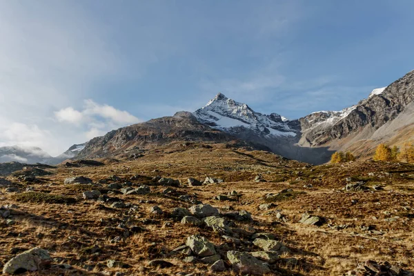 Voyage Suisse Montagnes Été — Photo